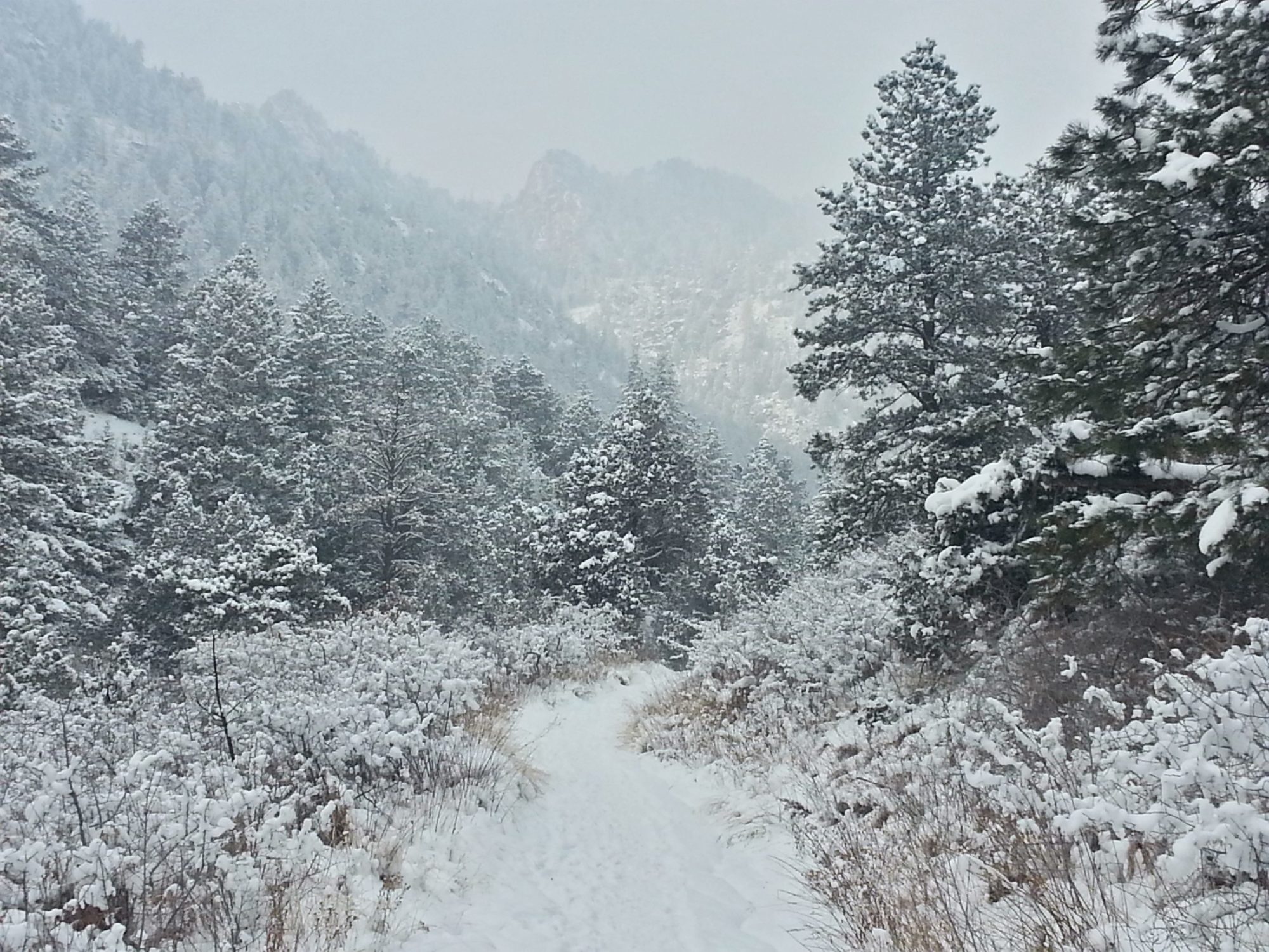 Snowmobiling Report Mercer WI